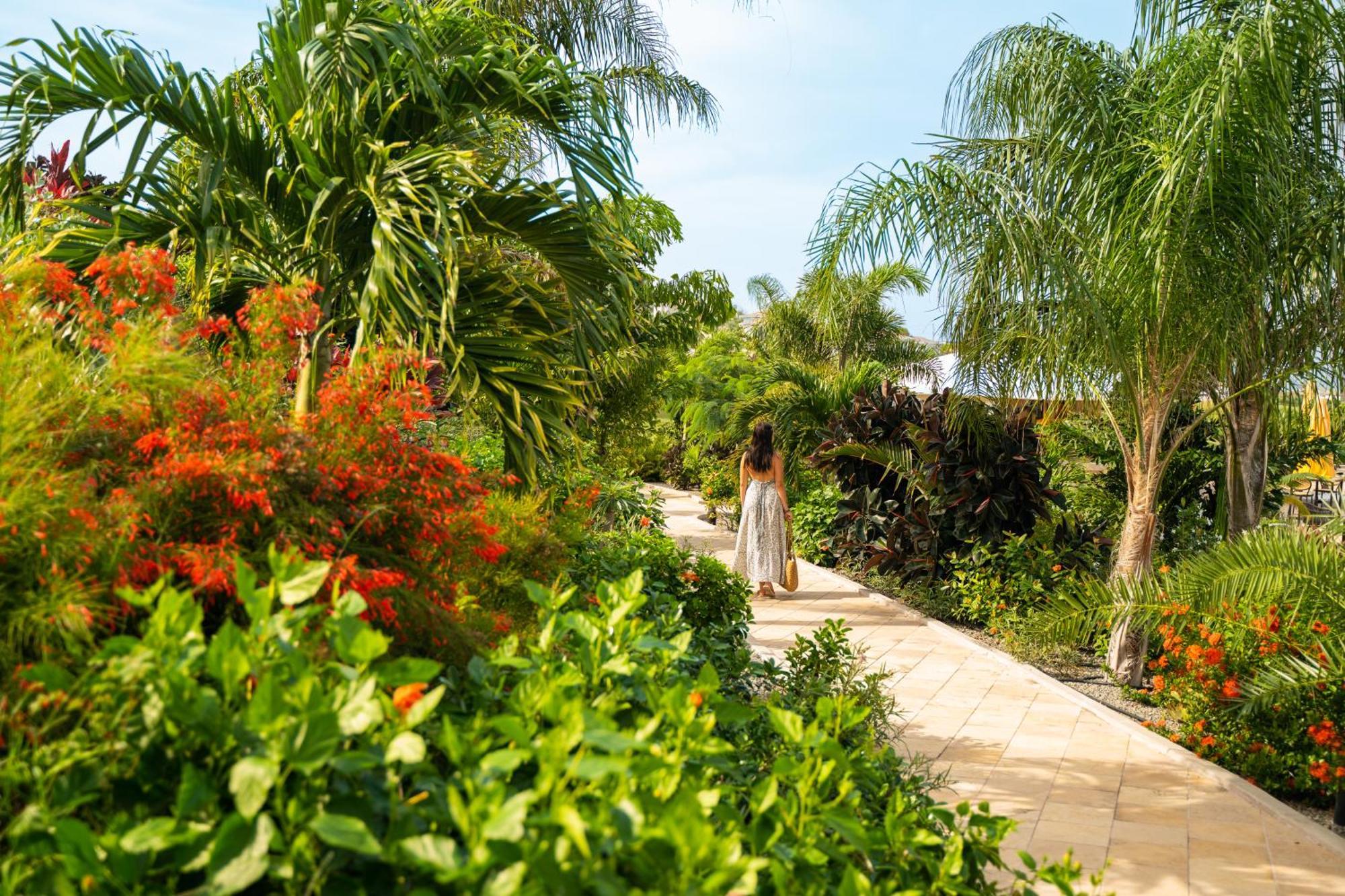 Golden Rock Dive&Nature Resort Oranjestad  Exterior foto